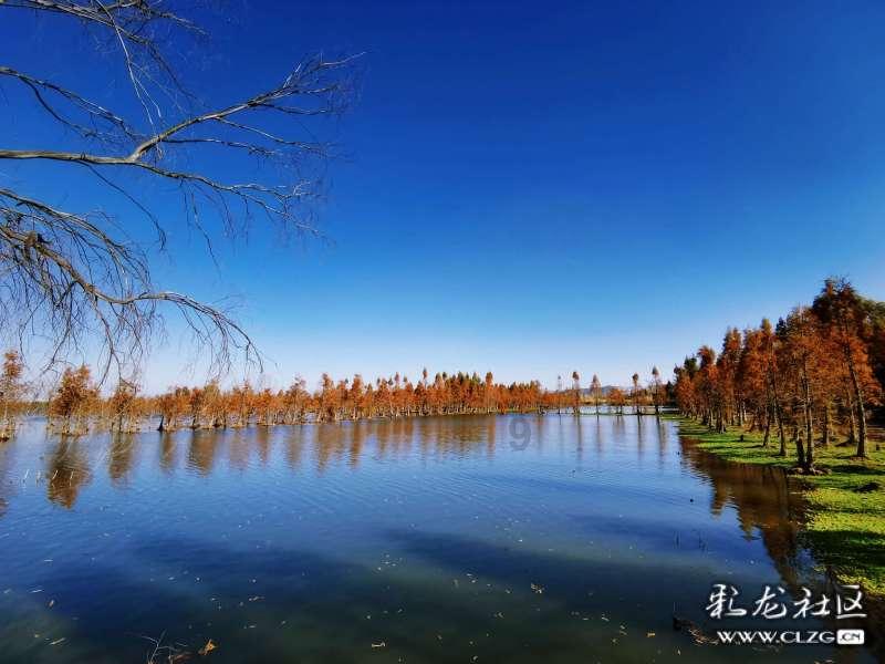 深度交流,尽在儿童节送什么礼物给孩子?