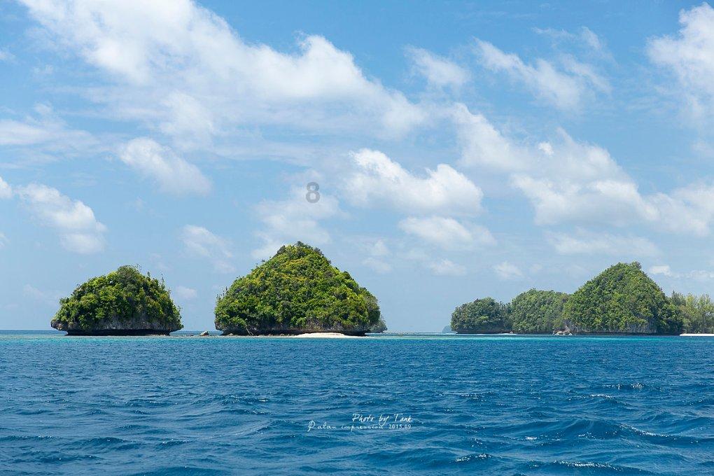 虫虫助手下载